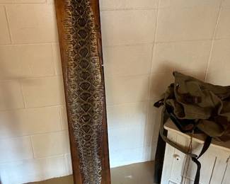 Mounted snake skin