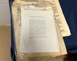 Several authentic pages from 1497 Latin Bible 