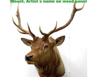 Lot 1564 Large Taxidermy Elk Head Wall Mount. Artist s name on wood panel 