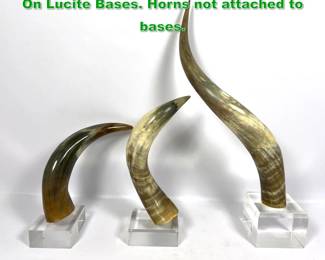 Lot 1701 125 3pc Natural Bull Steer Horns On Lucite Bases. Horns not attached to bases.