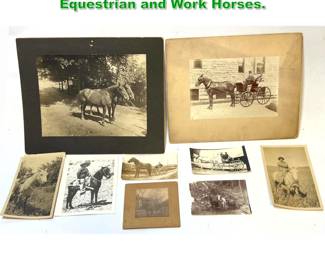Lot 1643 9pcs 22pcs Vintage Photographs Equestrian and Work Horses.