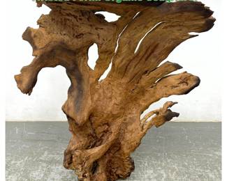 Lot 1301 Large Natural Driftwood. Contorted Twisted Form. Organic Sculpture. 