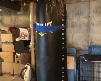 PUNCHING BAG