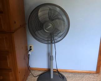 FAN