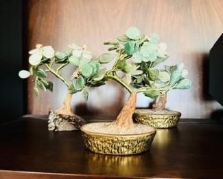 Jade Tree