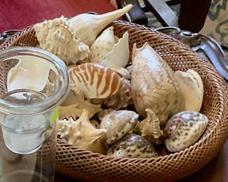 Candle holder, shells
