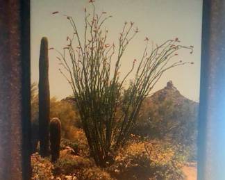 Tracy Sadlo 2 of 100