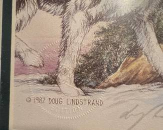 Doug Lindstrand