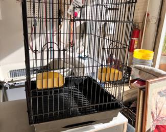 Bird cage 