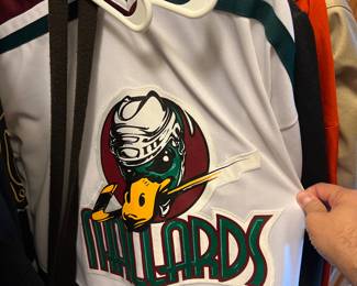 Mallards Jersey
