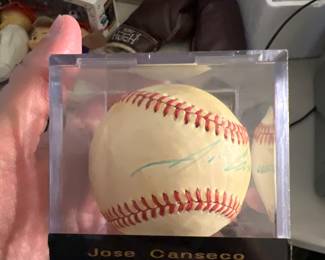 Jose Canseco Baseball