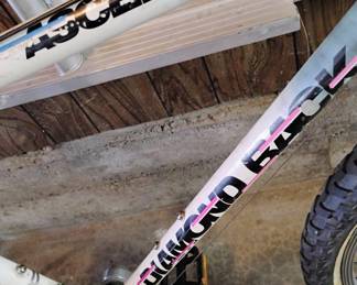 Diamond Back Ascent Bicycle