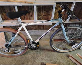 Diamond Back Ascent Bicycle