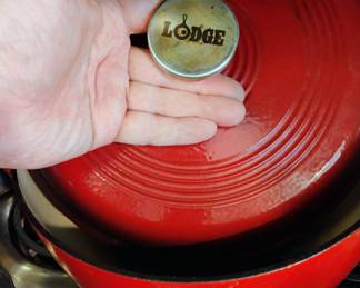 Lodge Red Enameled Cast Iron Dutch Oven