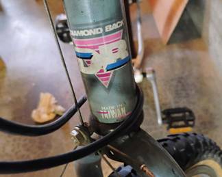 Diamond Back Ascent Bicycle