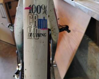 Diamond Back Ascent Bicycle