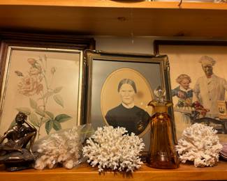 Coral Clusters, Amber Vinegar & Oil Optic Glass Bottle