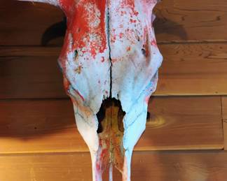 Cow Skull