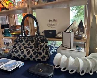 Coach Shoes (NEW) & Bag