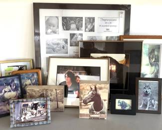 12 Frames, Some New, Some With Photos Of Pets
Lot #: 206
