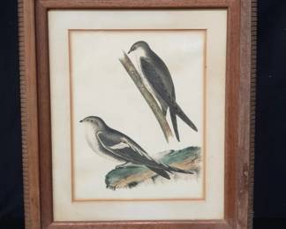 Lot # : 153 - Hand colored lithograph on paper, page from book
