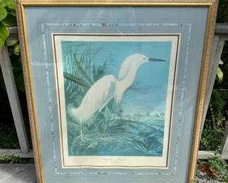 J.J Audubon's Snowy Heron or White Egret: 1835 R. Havell Engraving	