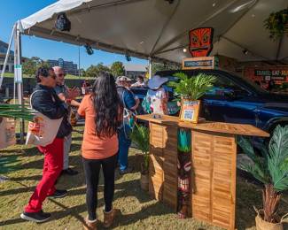 Collapsable tiki bar