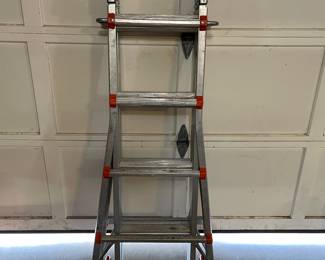 Little Giant Ladder