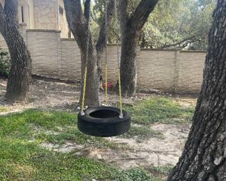 one tire swing 