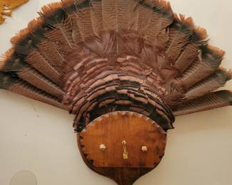 Turkey tail mount