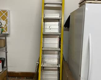 Fiberglass Extension Ladder.0