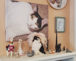 Cat collection 
