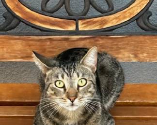 Our Mascot Steve, supervises