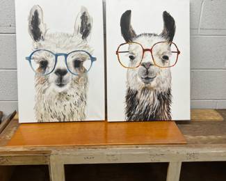 51 Prints Emu