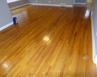 For prices & more info, copy & paste link: https://beforeudemo.com/sales-event/elmhurst-ranch-home-demolition-sale/