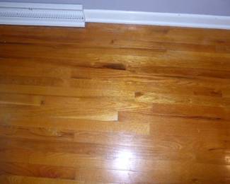 For prices & more info, copy & paste link: https://beforeudemo.com/sales-event/elmhurst-ranch-home-demolition-sale/