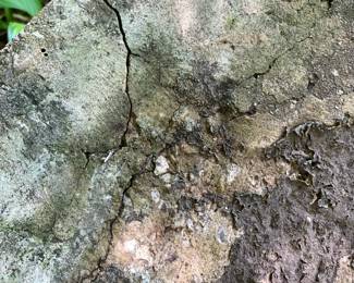 #54 Concrete bird bath 23x24 (as-is cracked) $30.00