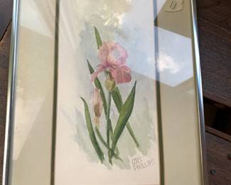 #11 Watercolor of Pink Iris by Lois Phillips Framed - 11x16 $20.00
