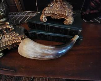 Vintage Horn Decor