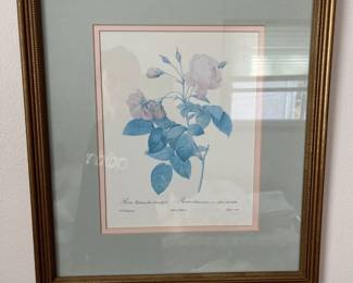 Pierre Radoute Framed Botanical Print 