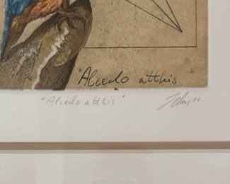 "Aliedo Atthis" Signed & Numbered Lithograph. Photo 3 of 3.