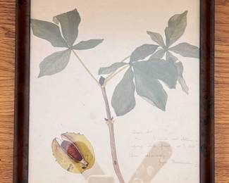 Personalized Pen & Ink By Joyce Badminton. Photo 1 of 2.