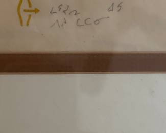 "Snow Bunting," Signed & Numbered Lithograph #16/43. Photo 4 of 4.