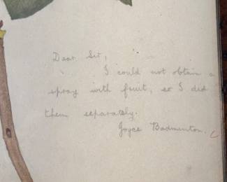 Personalized Pen & Ink By Joyce Badminton. Photo 2 of 2.