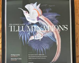 Sir Andre Davis Illuminations Poster.