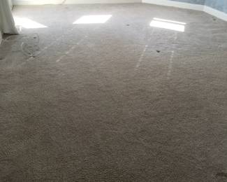 Wall to wall carpeting in pristine condition