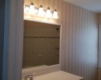 Vanity mirror & lights