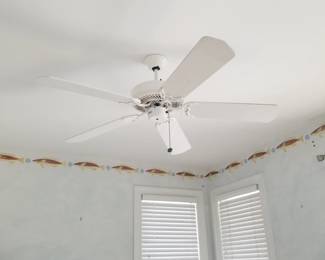 Ceiling fans