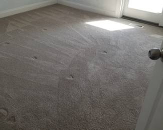 Wall to wall carpeting in pristine condition