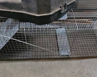 ANIMAL TRAP